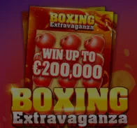 Boxing Extravaganza
